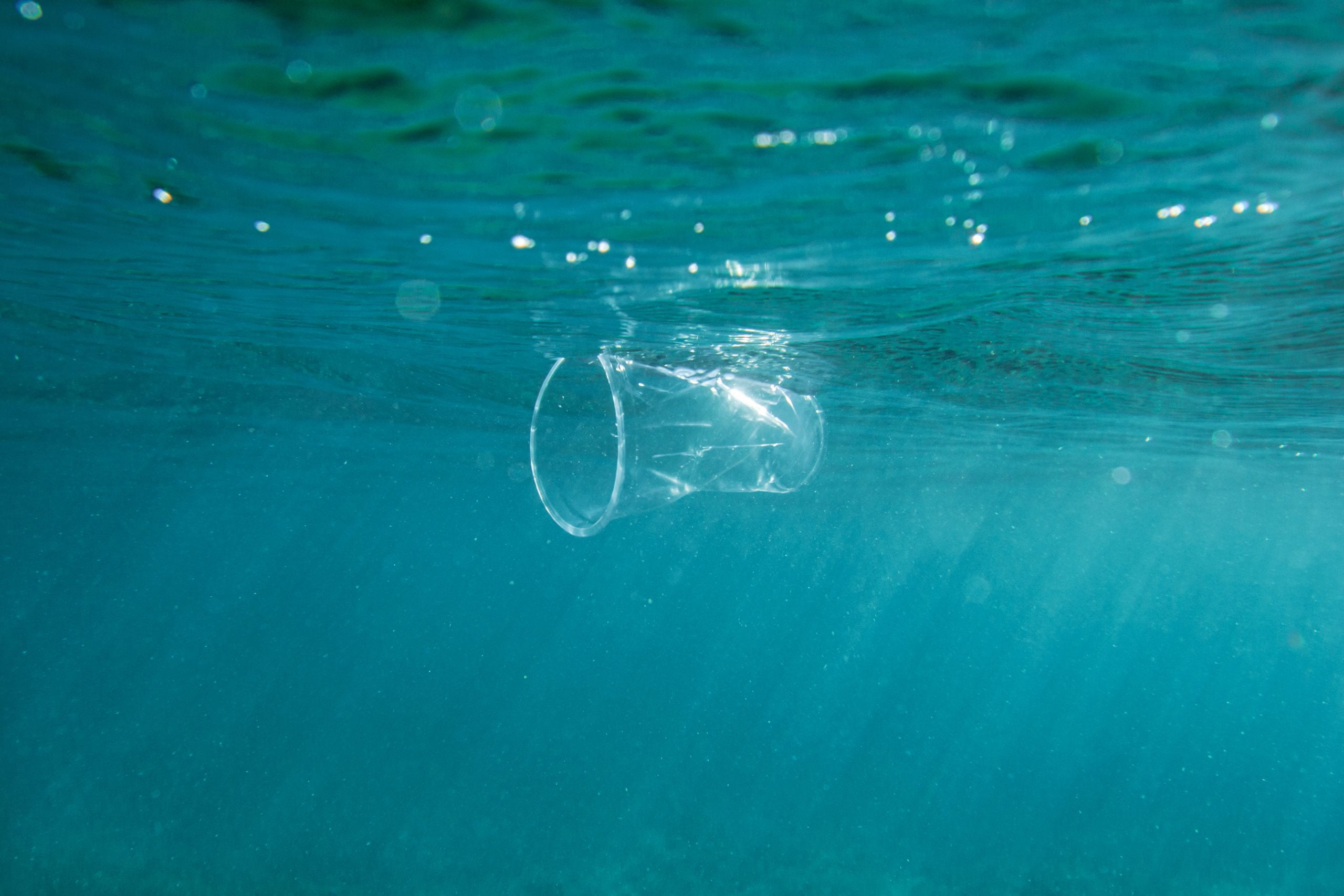 Plastic,Cup,Floats,Underwater,In,The,Open,Ocean.,Environmental,Pollution - The Good Cup