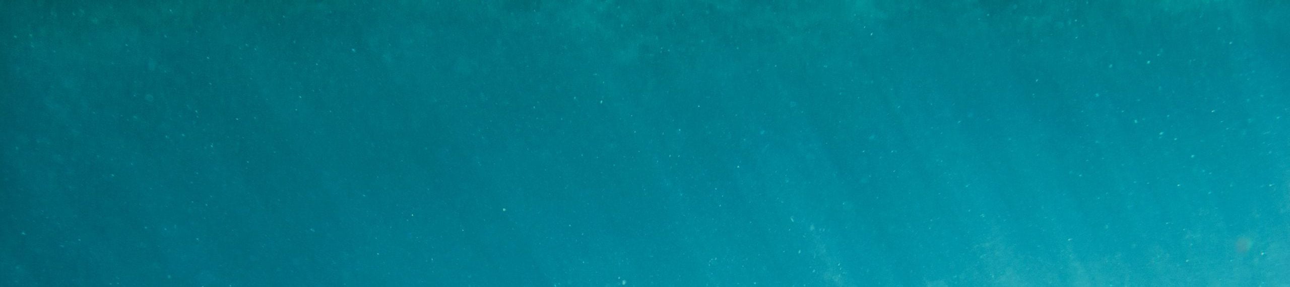 Plastic,Cup,Floats,Underwater,In,The,Open,Ocean.,Environmental,Pollution - The Good Cup